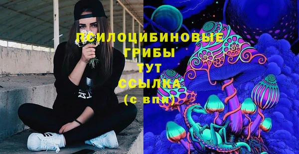 стафф Богородск