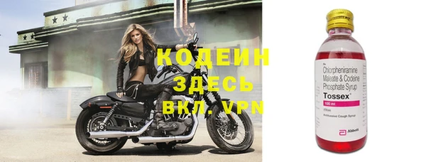 ешки Богданович