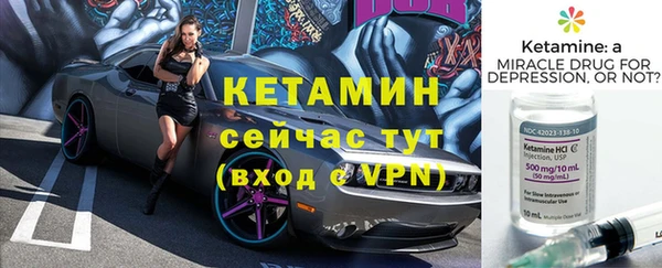 шишки Аркадак