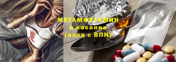 шишки Аркадак